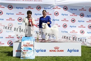 181564_kar_01__62_7680.JPG