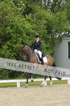 139835_sg_02_IMG_8634.JPG