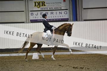 140040_abo_01__AB18206.JPG