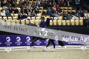 182194_mlm_02_R62_0868.JPG