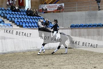 182241_kbb_01_Z093556.JPG