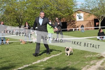 134871_ms_03_IMG_0390.JPG