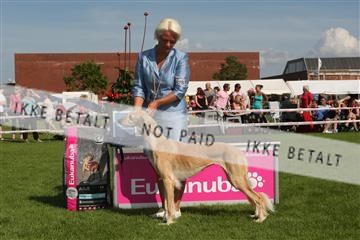 130370_se_03_IMG_7798.JPG