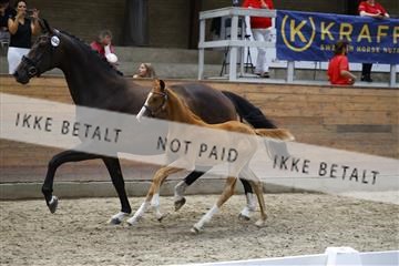 181802_jss_01__6II6668.JPG