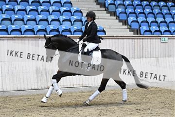 182241_kbb_01_Z093405.JPG