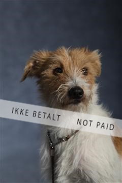 132082_le_ 01_IMG_0938.JPG