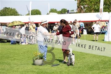181564_kar_01__62_7872.JPG