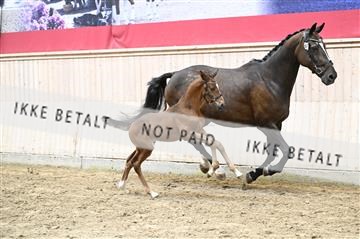 181754_kbb_01_Z092836.JPG