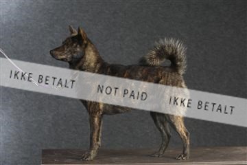 132082_le_ 01_IMG_0122.JPG