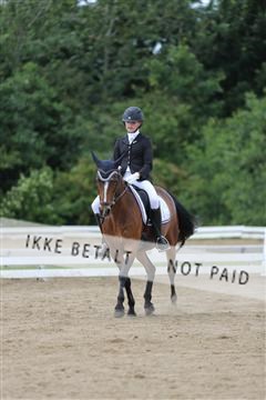 156196_nn_01_IMG_6167.JPG