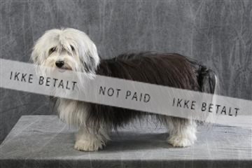 129608_le_ 01_0337.JPG