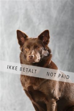 129608_le_ 01_0938.JPG