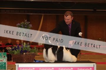 124188 _tl_02_IMG_9337.JPG