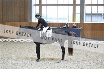 182176_kbb_01_Z092931.JPG