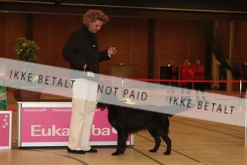 124188 _tl_02_IMG_9334.JPG