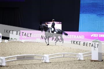 182194_avh_07_3884.JPG