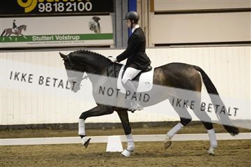 141472_abo_01__AB15369.JPG