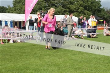 130370_tl_01_IMG_7526.JPG