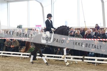 174363_kbb_01_R6II7957.JPG