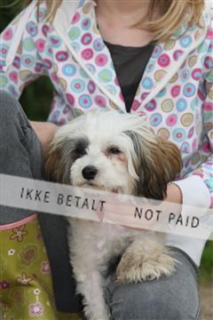 130370_se_01_IMG_5170.JPG