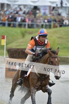 144462_bc_22__BC16080.JPG