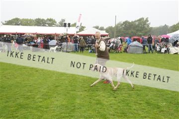 182009_kar_01__62_5601.JPG