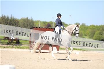 168732_mtp_01_3M5A8418.JPG