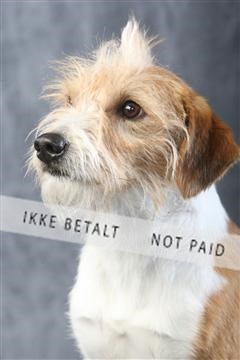 129608_le_ 01_0380.JPG