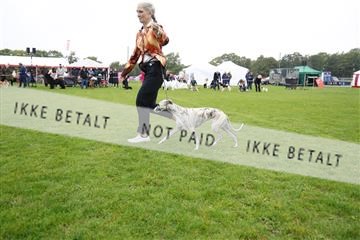 182009_kar_01__62_6297.JPG