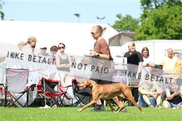 181564_rin_02_R62_2994.JPG
