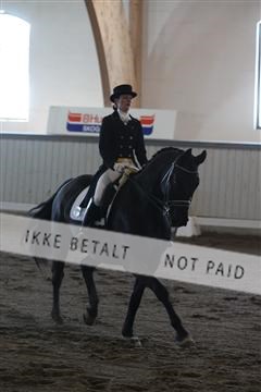 139267_kl_1_8M1Q6792.JPG