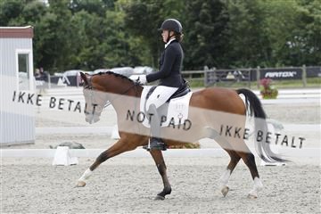 166078_rhj_01__J7R3487.JPG