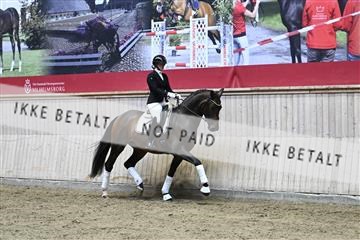 182241_kbb_01_Z094342.JPG