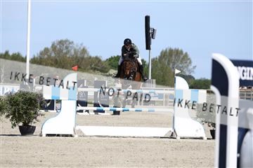 181436_avh_02_4119.JPG