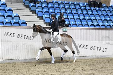 182241_kbb_01_Z094667.JPG