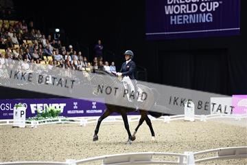 182194_avh_06_3126.JPG