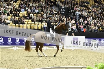 182194_kbb_03_Z092772.JPG