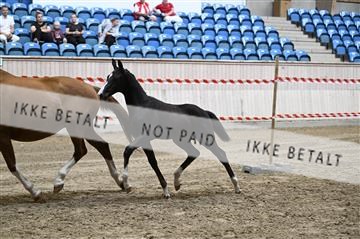 181754_kbb_01_Z093388.JPG