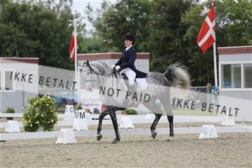 156196_nn_01_IMG_5129.JPG