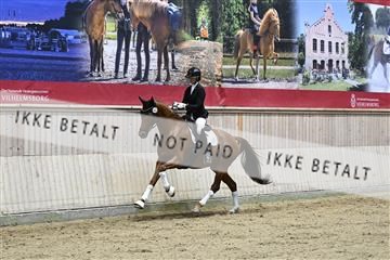 182241_kbb_01_Z093160.JPG