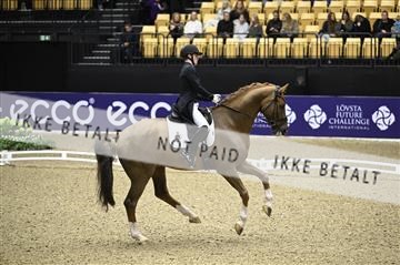 182194_kbb_02_Z098682.JPG