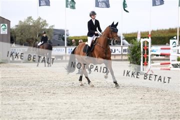 181922_avh_01_1238.JPG