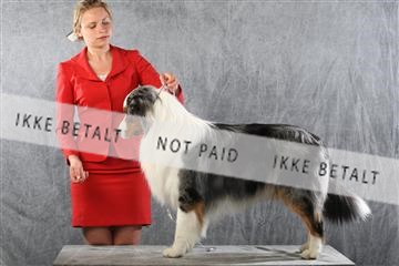 129608_le_ 01_0853.JPG