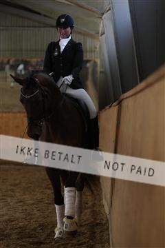 139206_kl_1_8M1Q5281.JPG