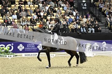 182194_kbb_03_Z092441.JPG