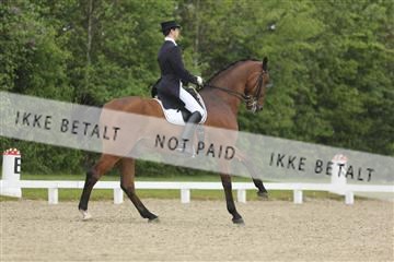 139835_sg_02_IMG_8557.JPG