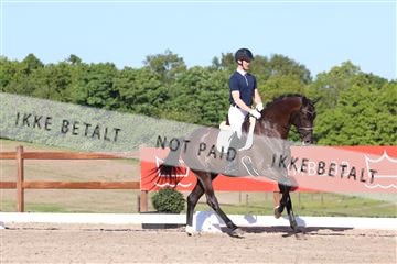 181449_bc_01R62_6263.JPG