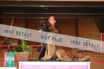 124188 _tl_02_IMG_9692.JPG