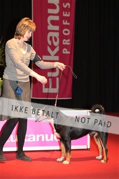 126827_tl_02_IMG_3096.JPG