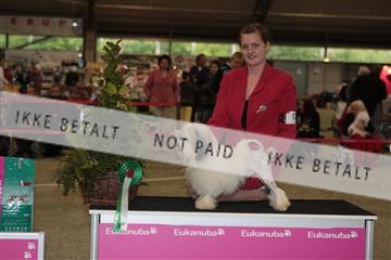 126168_se_01_IMG_6825.JPG
